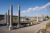 Agora,  ruins of Perga. Turkey