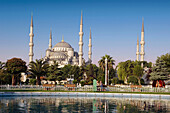 Blue Mosque,  Istanbul,  Turkey