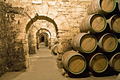 Marques de Riscal wine cellar,  Elciego,  Rioja alavesa. Alava,  Basque Country,  Spain