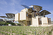 Ciudad del Vino,  Herederos de Marques de Riscal winery and hotel building by Frank O. Gehry. Elciego,  Rioja alavesa. Alava,  Basque Country,  Spain