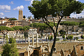 Italy. Rome. Foro di Cesare (Forum of Caesar)