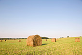 Bayles of hay in fields brookville pennsylvania. USA