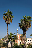 Palms bell tower monestary of saint peter abrasha park old city jaffa. Tel aviv. Israel.
