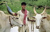 YOUNG FARMER, BELLARY REGION, KARNATAKA, INDIA