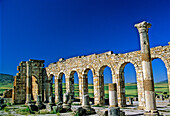 Morocco, Volubilis (Roman ruins), Basilica, view of inside