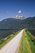 Grant Narrows Regional Park. Pitt Lake, British Columbia, Canada