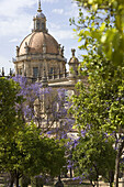 Cathedral, Jerez de la Frontera. Cadiz province, Andalucia, Spain