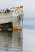 Abandoned tugboat, Ushuaia, Argentina