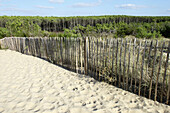 Boundary fence at dunes area, Lacanau-Océan. Gironde, Aquitaine, France