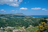 General View, Phaestos, Crete, Greek Islands