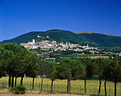 General View to Town, Assisi, Umbria, Italy