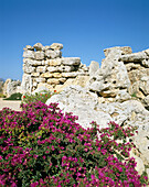 Ggantija Temples, Gozo, Maltese Islands