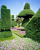 Levens Hall, Gardens, Levens, Cumbria, UK, England