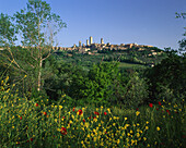 View of Town, San Gimignano, Tuscany, Italy