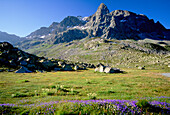 Landscape, Julierpass, Graubunden, Switzerland