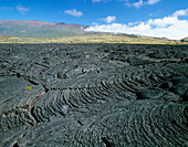 Lava Fields, Hawaii Island, Hawaii, Usa