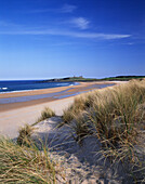 Dunstanburgh Castle (in Distance), Embleton, Northumberland, UK, England