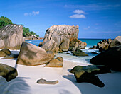 Beach Scene, Anse Patates, La Digue, Seychelles