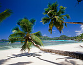 Beach Scene, Anse Gaulettes, Mahe, Seychelles