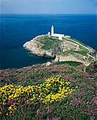 South Stack Lighthouse, Anglesey, UK, Wales