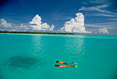 Snorkelling, Rangiroa Lagoon, Rangiroa Island, Society Islands