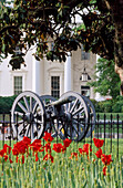 The White House in Spring, Washington DC, District of Columbia, USA