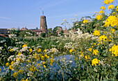 Batemans Brewery, Wainfleet, Lincolnshire, UK, England