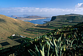 Landscape, Guinate, Lanzarote, Canary Islands