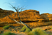 Kings Canyon, Watarrka National Park, Northern Territory, Australia