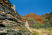 Landscape, Bungle Bungles, Western Australia, Australia