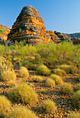 Landscape, Bungle Bungles, Western Australia, Australia