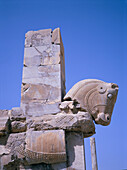 Ancient Ruins, Close-up of Bull's Head Sculpture, Persepolis, Iran