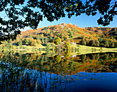 Autumnal Lake Scene, Loughrigg Tarn, Cumbria, UK, England