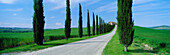 Landscape with Cypress trees lining road, General countryside, Tuscany, Italy