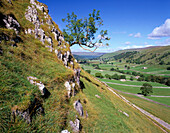 RURAL LANDSCAPE, WHARFEDALE, Yorkshire, UK, England