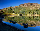 VIEW OVER LAKE TO BLAKE RIGG, BLEA TARN, CUMBRIA, UK, England