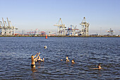 Junge Leute baden in der Elbe, Oevelgönne, Hamburg, Deutschland
