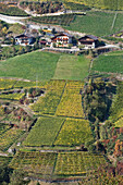 Weinberge bei Bozen, Trentino-Alto Adige, Italien