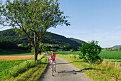 Radfahrerin fährt über eine Landstraße, Donauradweg Passau Wien, Wachau, Niederösterreich, Österreich