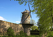 Stadtmauer mit Windmühle, Zons, Dormagen, Nordrhein-Westfalen, Deutschland