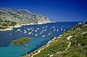 Boote ankern in einer Bucht unter blauem Himmel, Calanque de Sormiou, Côte d´Azur, Provence, Frankreich, Europa