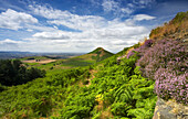 Roseberry Topping from Little Roseberry in North York Moors National Park, Great Ayton, near, Yorkshire, UK, England