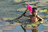 Boy gathering flowers for sale, Siem Reap, Cambodia