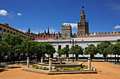 View of Cathedral from Real Alcazar, Seville, Andalucia, Spain
