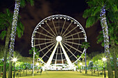 Prado de San Sebastian, ferris wheel at night framed by palm trees, Seville, Andalucia, Spain