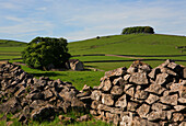 Dry stone wall on the Tissington Trail, Hartington, Derbyshire, UK, England