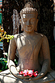 Statue of Buddha beneath a Buddha tree at the Royal Palace, Phnom Penh, Cambodia