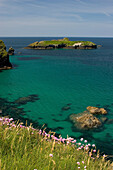 View from cove, Mullion Cove, Cornwall, UK, England
