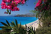 Beach scene, view framed by flowers, Oludeniz, Mediterranean, Turkey