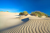 The moving sand dune in Slowinski National Park, Pomorze, Poland